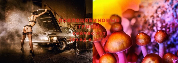 PSILOCYBIN Алексин