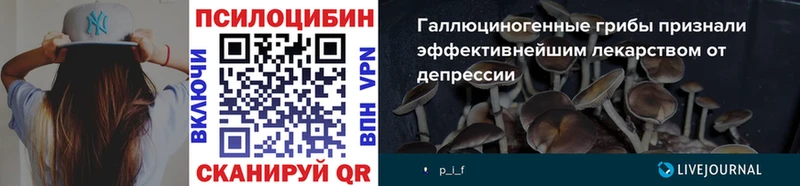 Псилоцибиновые грибы Magic Shrooms  OMG   Сельцо  купить наркотики сайты 