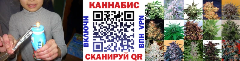 Бошки Шишки Bruce Banner  Сельцо 